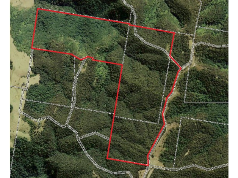 1042 Ponsford Road, Ellenborough NSW 2446