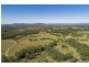 488 Mortons Creek Road, Wauchope NSW 2446