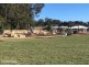 Lot 195 Fennel Lane, Wauchope NSW 2446