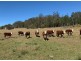 Lot 91 DP754445 Blackbutt Road, Herons Creek NSW 2443