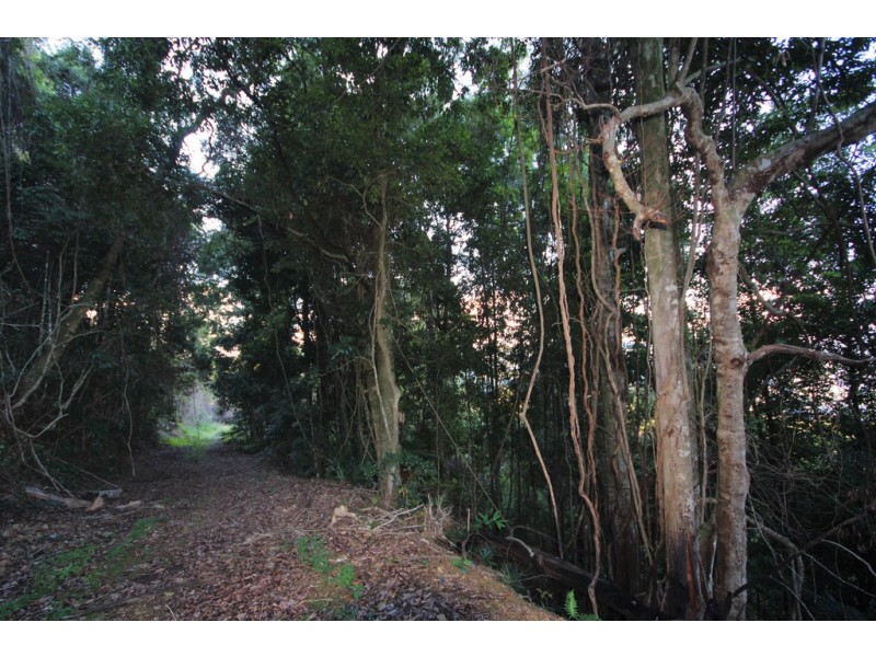 2782 Comboyne Road, Killabakh NSW 2429