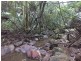 2782 Comboyne Road, Killabakh NSW 2429