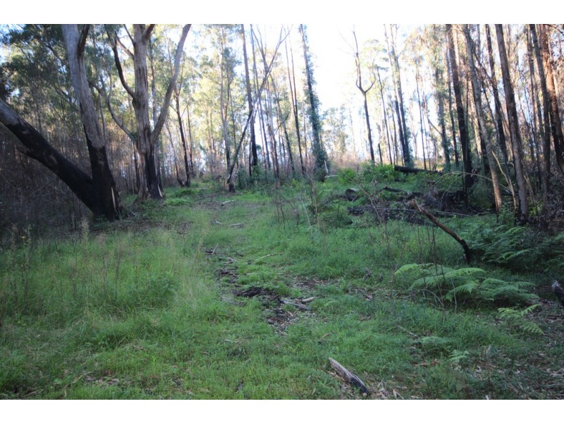 2782 Comboyne Road, Killabakh NSW 2429