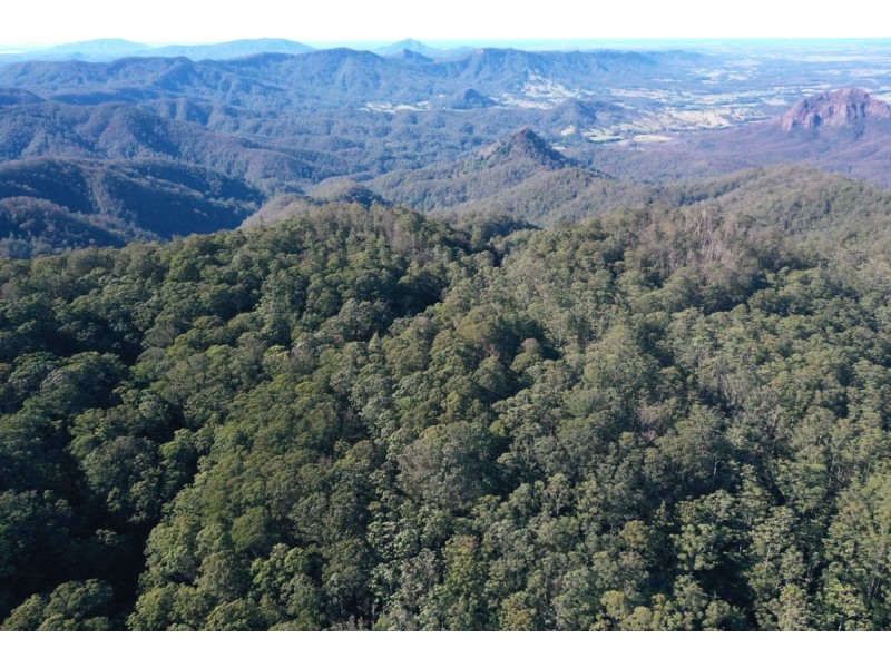 2782 Comboyne Road, Killabakh NSW 2429