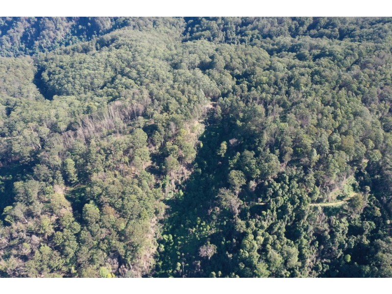 2782 Comboyne Road, Killabakh NSW 2429