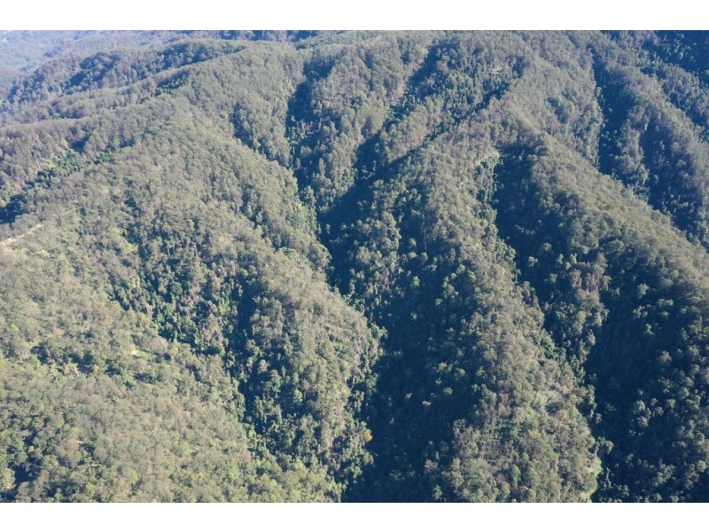 2782 Comboyne Road, Killabakh NSW 2429