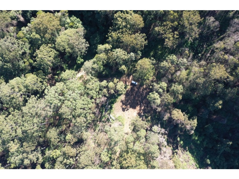 2782 Comboyne Road, Killabakh NSW 2429