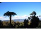 2782 Comboyne Road, Killabakh NSW 2429