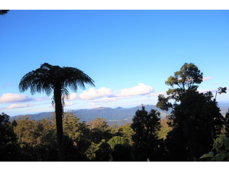 2782 Comboyne Road, Killabakh NSW 2429