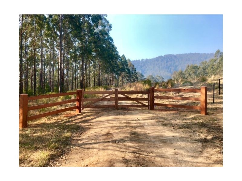 Lot 125 DP/7544058 Blue gum lane, Toms Creek NSW 2446