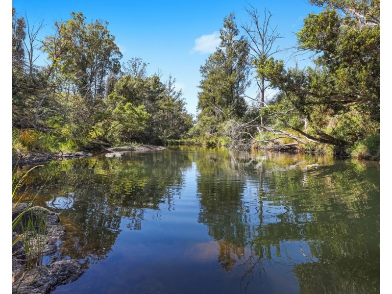 11 Roach Road, Pappinbarra NSW 2446