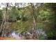 3500 Wingham Road, Comboyne NSW 2429