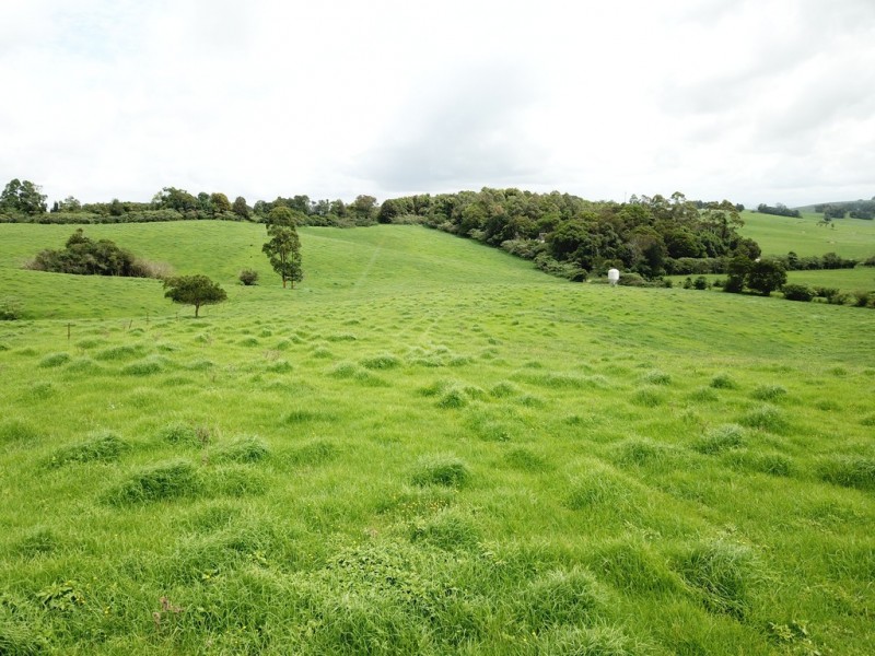 3500 Wingham Road, Comboyne NSW 2429