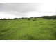 3500 Wingham Road, Comboyne NSW 2429