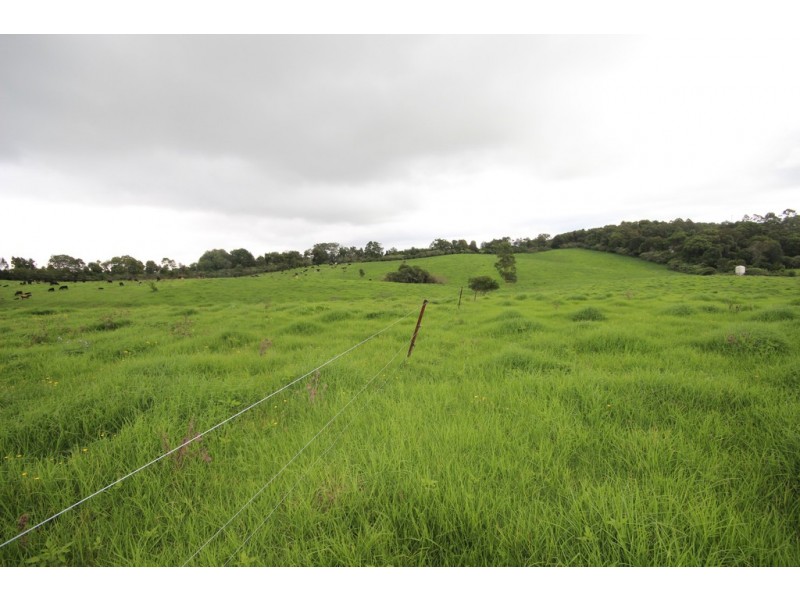 3500 Wingham Road, Comboyne NSW 2429
