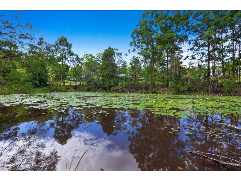 29 Moran Close, King Creek NSW 2446