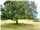 Lot 2 262 Marys Bay Road, Euroka NSW 2440