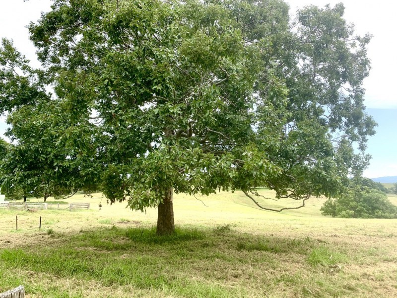 Lot 2 262 Marys Bay Road, Euroka NSW 2440