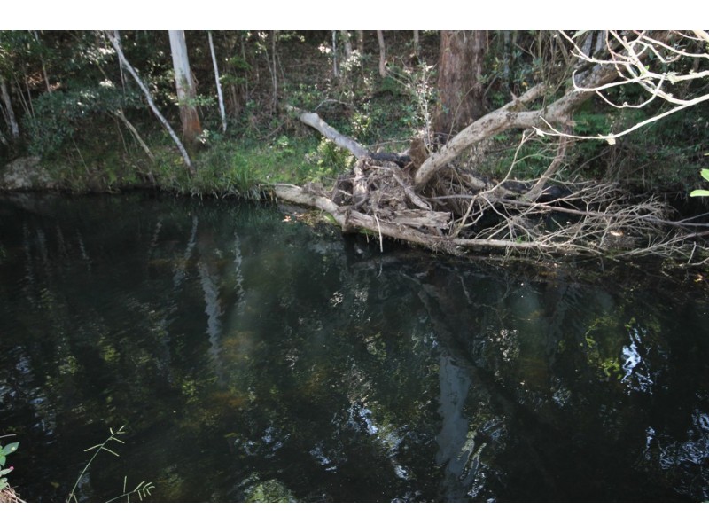 Lot 1 Cowal Creek Road, Bellangry NSW 2446