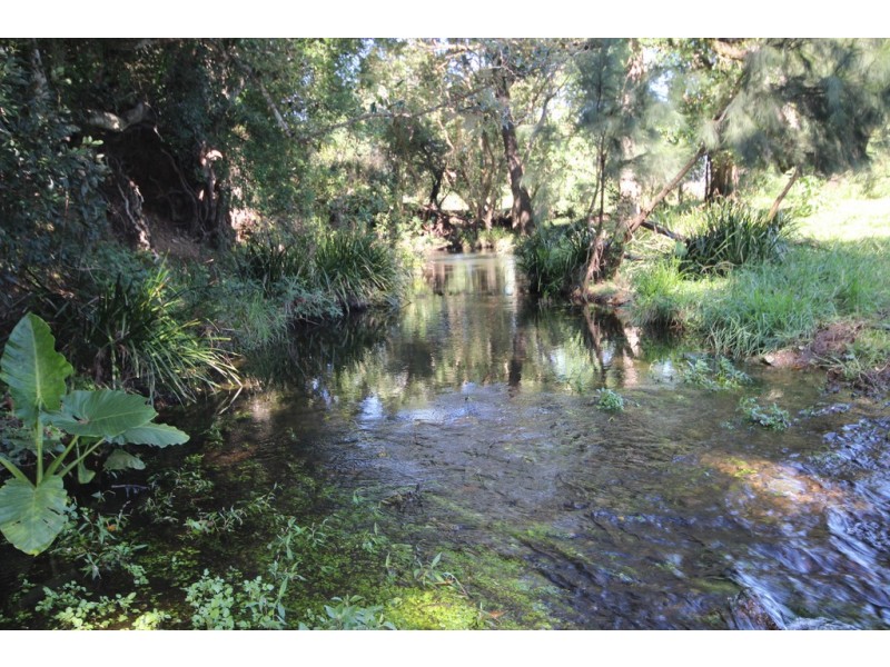 Lot 1 Cowal Creek Road, Bellangry NSW 2446