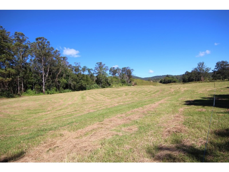 Lot 1 Cowal Creek Road, Bellangry NSW 2446
