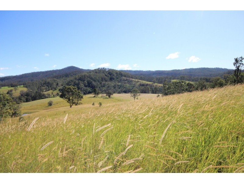 Lot 1 Cowal Creek Road, Bellangry NSW 2446