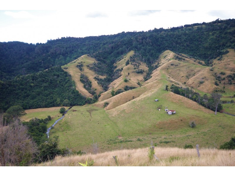 2040 Toms Creek Road, Toms Creek NSW 2446