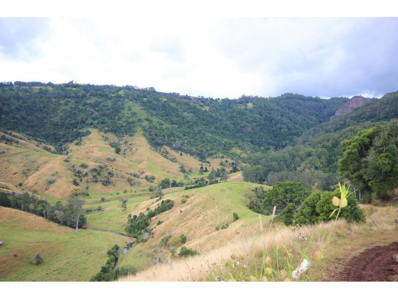 2040 Toms Creek Road, Toms Creek NSW 2446