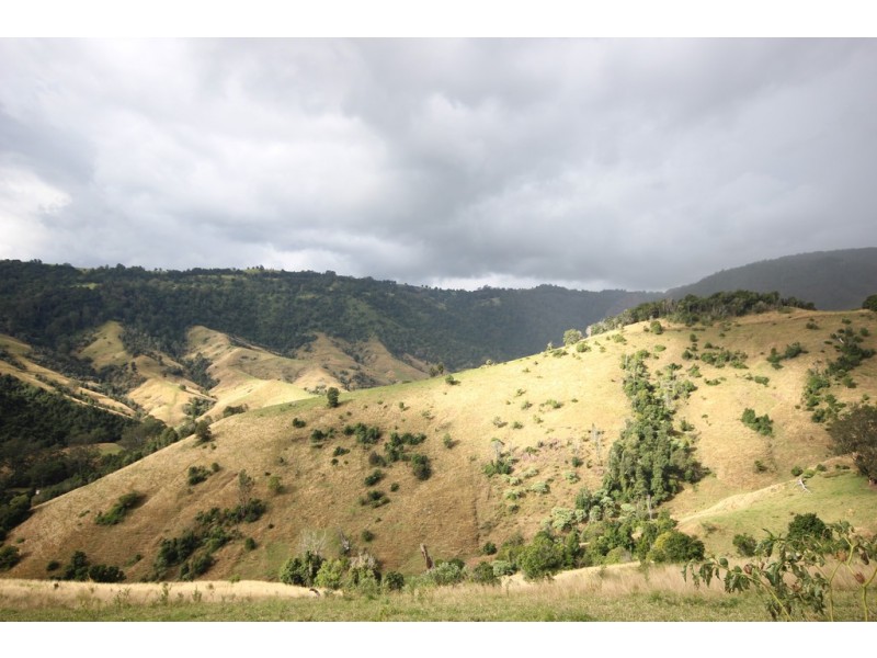 2040 Toms Creek Road, Toms Creek NSW 2446