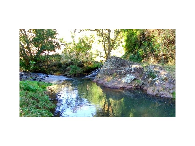 2040 Toms Creek Road, Toms Creek NSW 2446