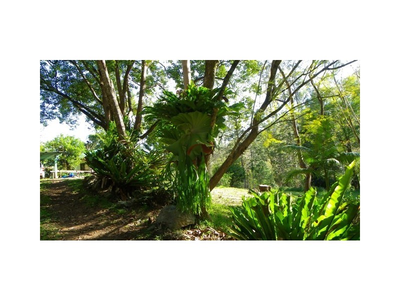 2040 Toms Creek Road, Toms Creek NSW 2446