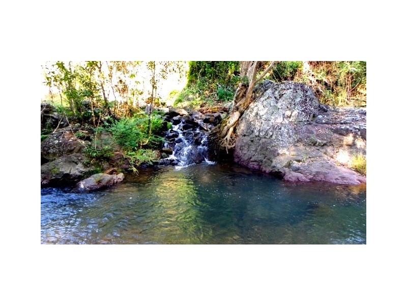 2032 Toms Creek Road, Toms Creek NSW 2446