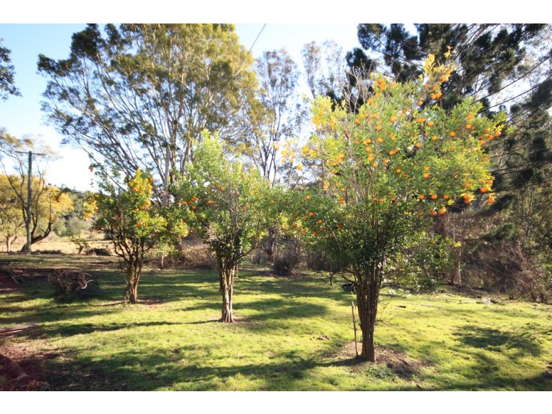 2032 Toms Creek Road, Toms Creek NSW 2446