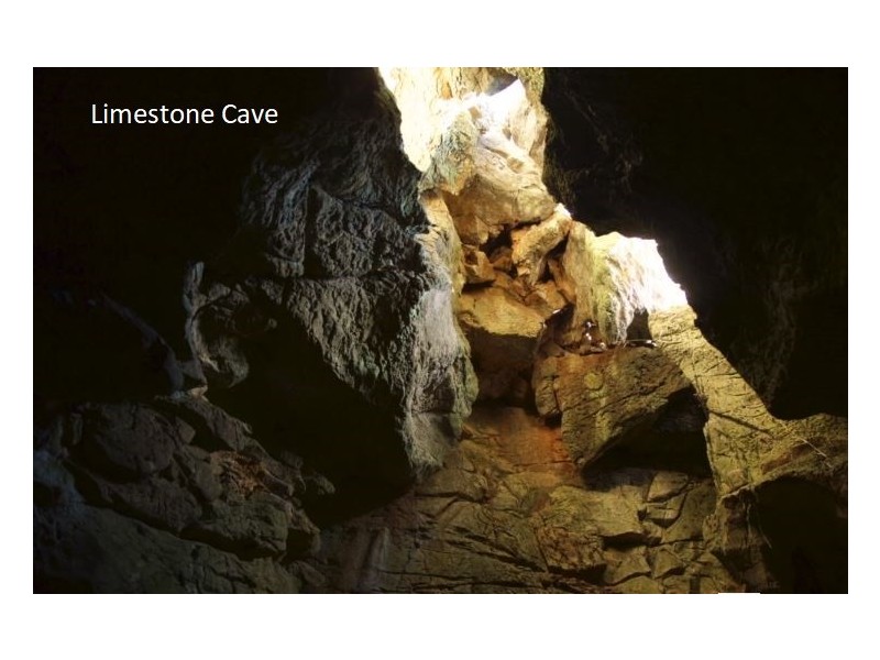 2032 Toms Creek Road, Toms Creek NSW 2446