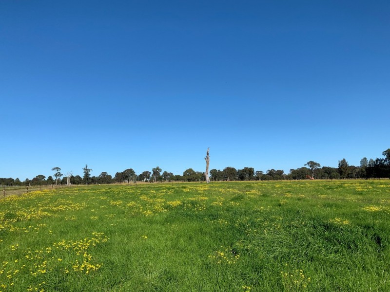 1 Emerton Close, Cundletown NSW 2430