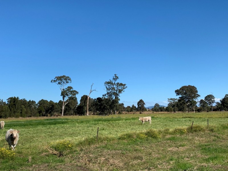 1 Emerton Close, Cundletown NSW 2430