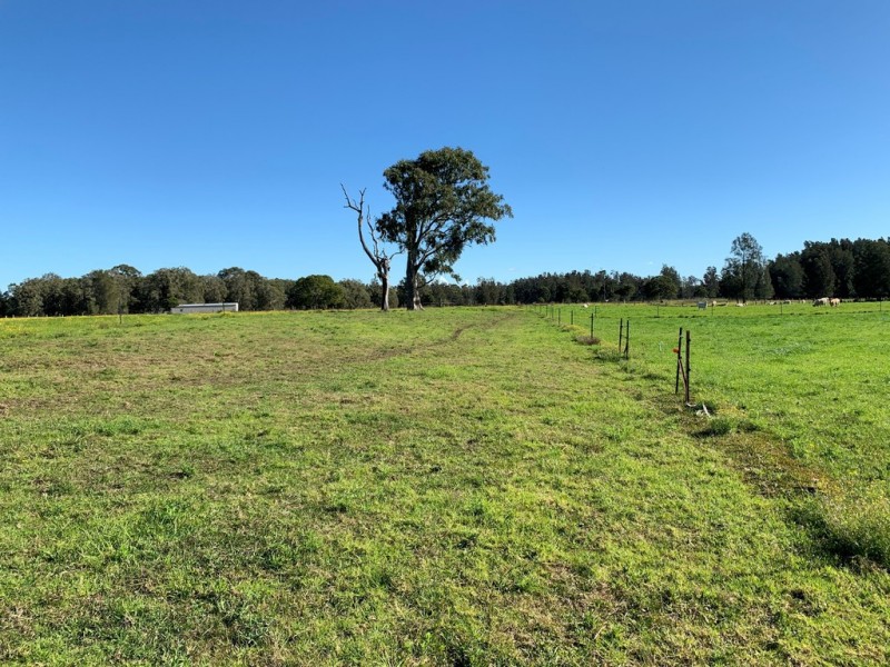 1 Emerton Close, Cundletown NSW 2430