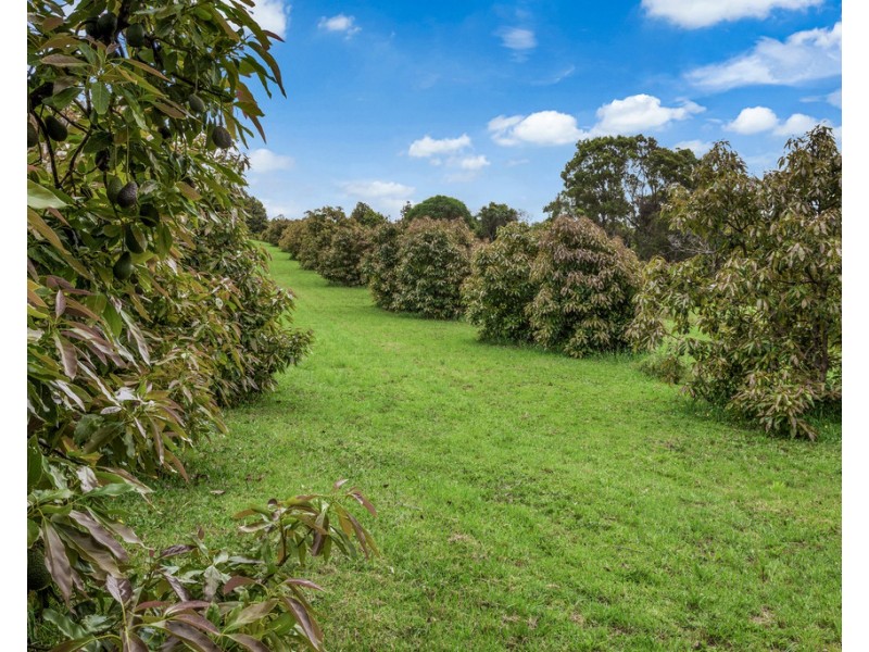 1528 Koppin yarratt Road, Comboyne NSW 2429