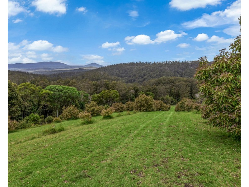 1528 Koppin yarratt Road, Comboyne NSW 2429