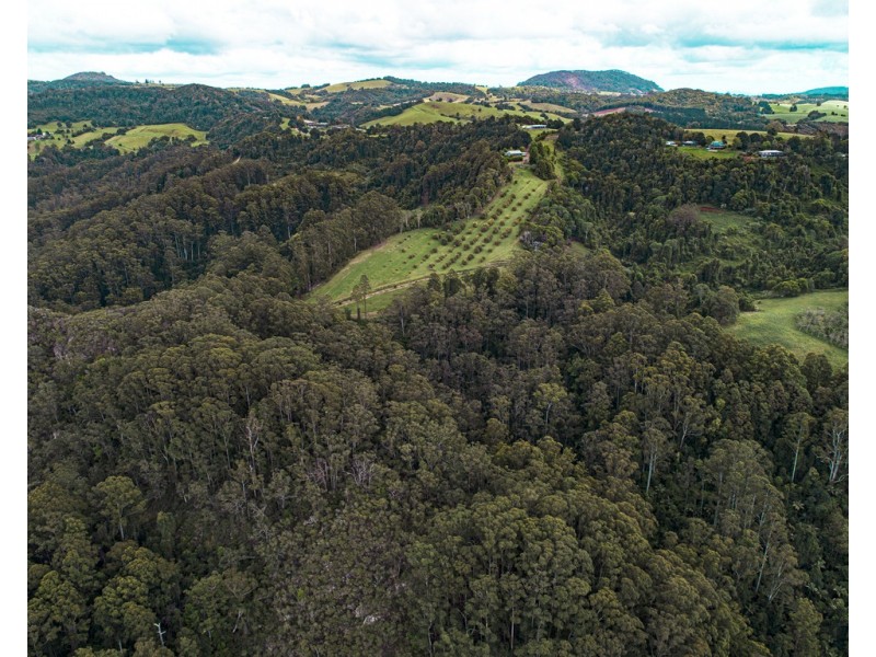 1528 Koppin yarratt Road, Comboyne NSW 2429