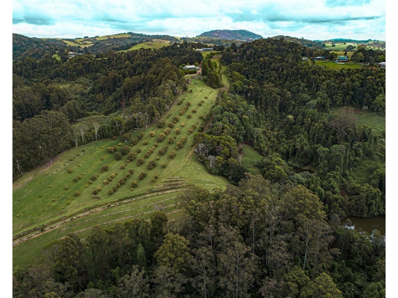 1528 Koppin yarratt Road, Comboyne NSW 2429