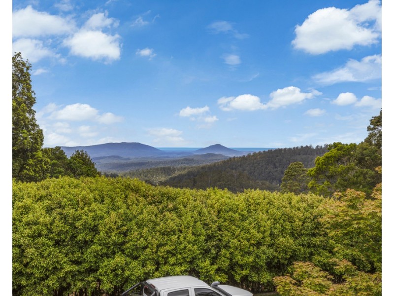 1528 Koppin yarratt Road, Comboyne NSW 2429