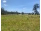 Lot 303 3 Neville Road, Beechwood NSW 2446