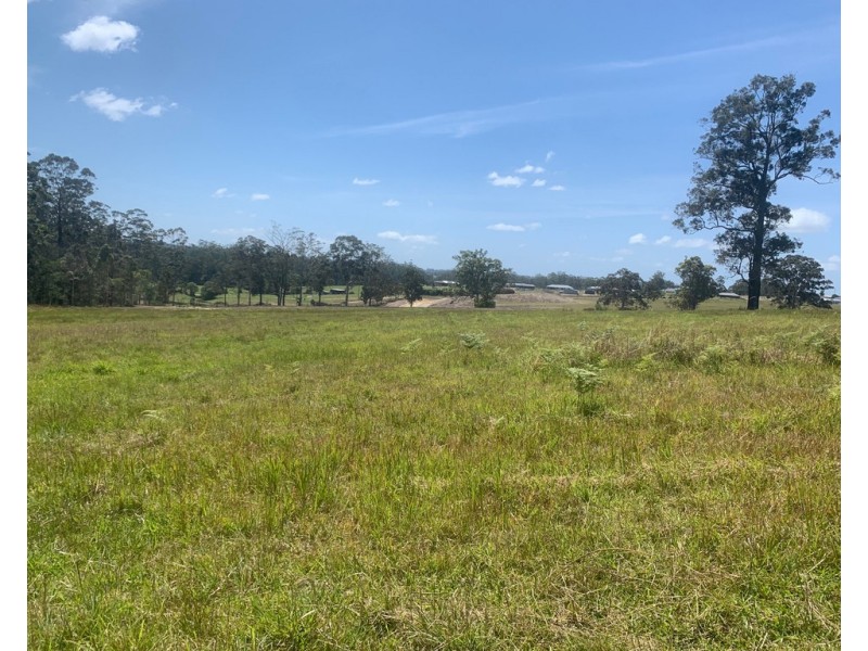 Lot 303 3 Neville Road, Beechwood NSW 2446
