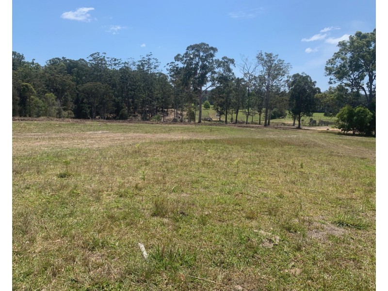 Lot 313, 3 Neville Road, Beechwood NSW 2446