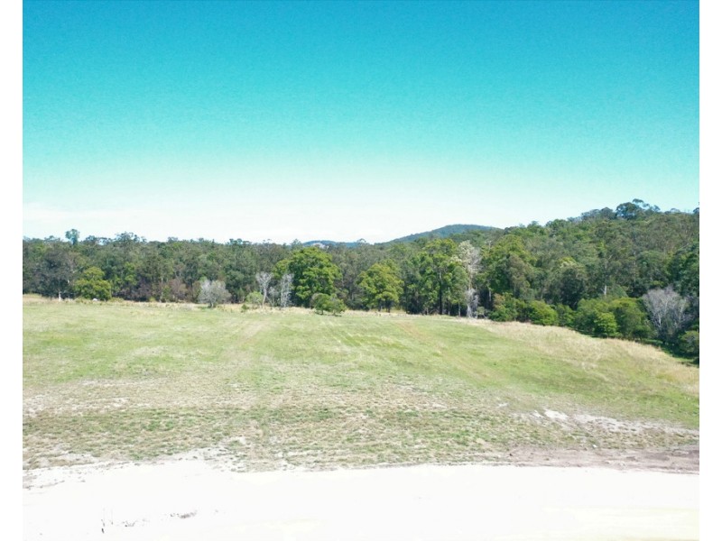 Lot 313, 3 Neville Road, Beechwood NSW 2446