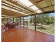 39 Kingsford Road, Logans Crossing NSW 2439