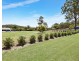 39 Kingsford Road, Logans Crossing NSW 2439