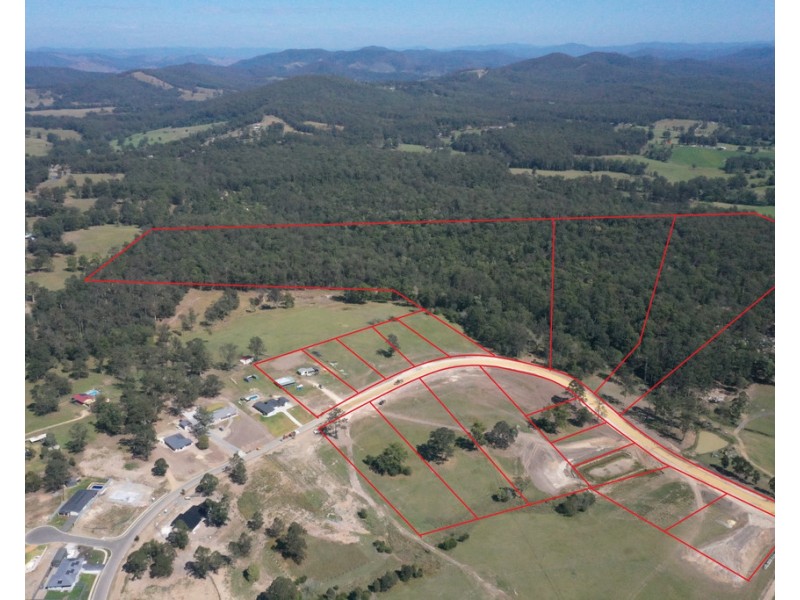 Lot 304 3 Neville Road, Beechwood NSW 2446