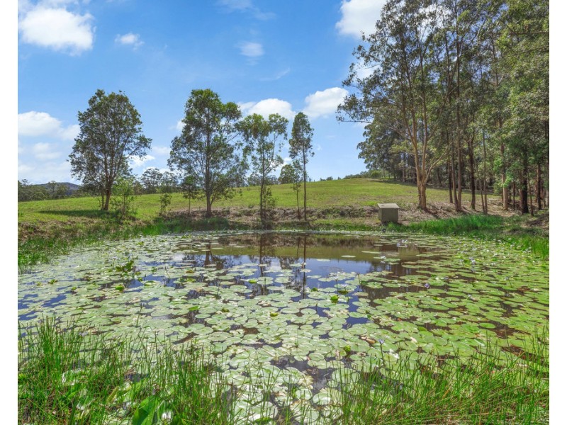 Lot 205 Sharkeys Road, Bellangry NSW 2446